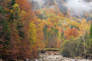 Obraz premium Beautiful and foggy valley in autumn in Ordesa National Park Pyrenees, Huesca Aragon Spain