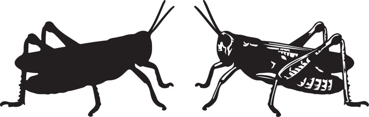 Two Grasshoppers, One Silhouette and One Detailed Outline on White insect arthropod on transparent background