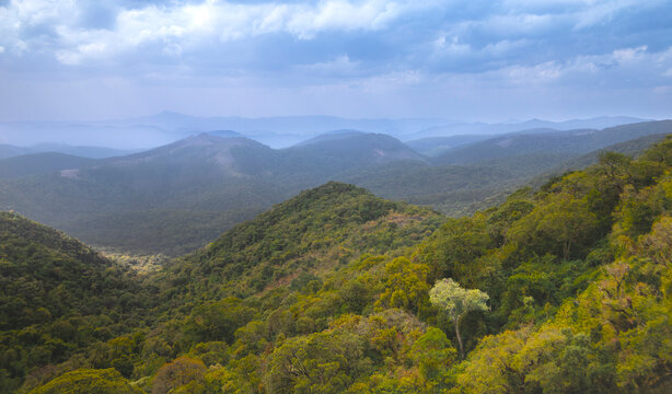 Mantiqueira Mountains, border of the states of S&atilde;o Paulo and Minas Gerais, city of Camanducaia, district of Monte Verde