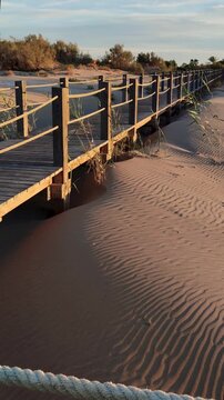 Panoramic view at sunset along a wooden boardwalk over the beach dunes. Pan left. Vertical. Wooden walkways installed to protect the dunes and their flora and fauna,on Riumar beach in Catalonia,Spain
