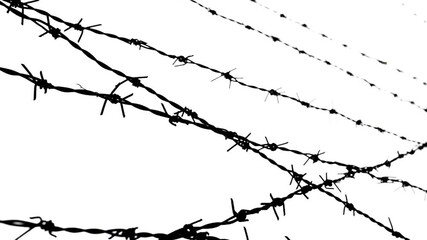 barbed wire of the correctional facility on the background of a gloomy cloudy sky. Crime, crackdown, illegal concept Prison, jail view. Lattice. - Powered by Adobe