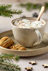 cup of hot chocolate and cookies