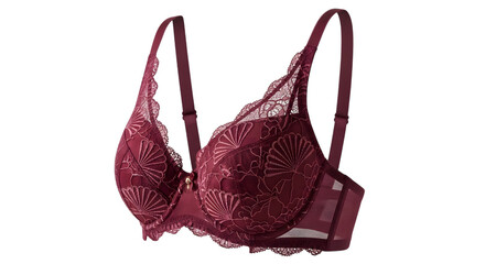 Burgundy Sheer Lace Bra With Fan Pattern Isolated on Black Background burgundy bra lingerie isolated on a transparent background