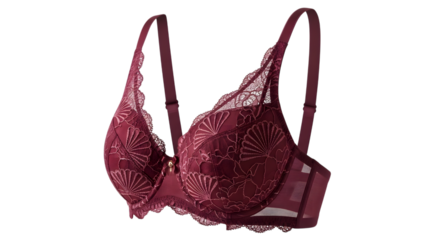 Burgundy Sheer Lace Bra With Fan Pattern Isolated on Black Background burgundy bra lingerie isolated on a transparent background
