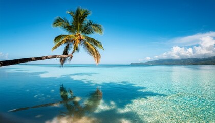 a palm tree reflected in the crystal clear water of a secluded lagoon