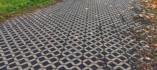 Obraz premium Nawierzchnia z ażurowych płyt betonowych 