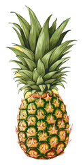 Obraz premium PNG Pineapple fruit plant food.