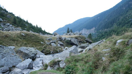 Beautiful landscape, mountain creek stream