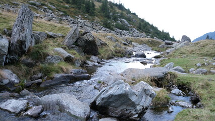 Beautiful landscape, mountain creek stream