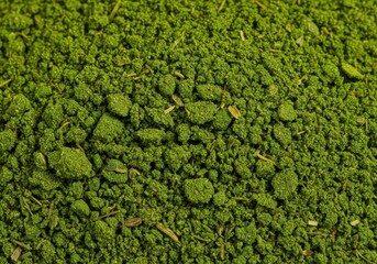 Obraz premium Bright green powder parsley spice close-up texture shot showing fine seasoning granules for cooking and flavor enhancement in the kitchen, parsley, healthy, sprinkle