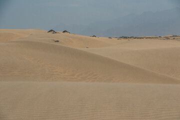 Desierto