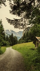 mountain road in the mountains in switzerland