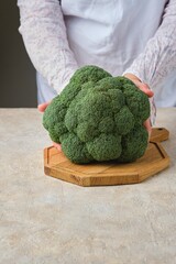 A female chef holds a fresh whole broccoli over a wooden cutting board against a light concrete background. Fresh vegetables.