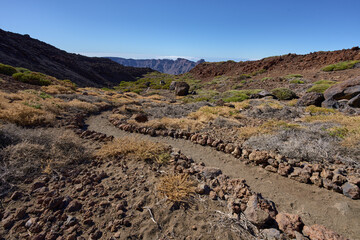 Los Regatones Negros trail through volcanic slopes with lava bombs, with Las Cañadas caldera rim in the background