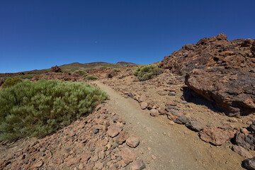 Los Regatones Negros trail through volcanic slopes with lava bombs, with Las Cañadas caldera rim in the background