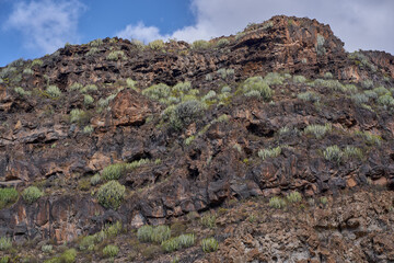 Layered volcanic rock formations