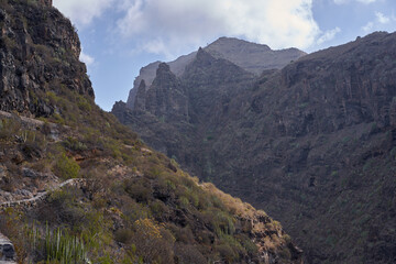 Rugged canyon walls and trail