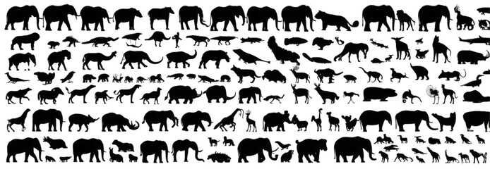 Obraz premium Mega set of various wild animal silhouettes on a white background.