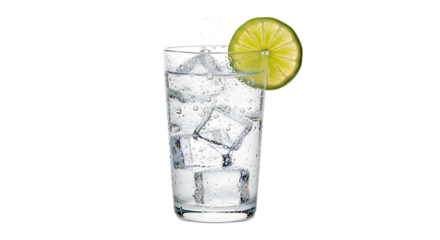 Refreshing gin and tonic with lime
