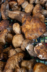 Fresh Italian mushrooms ready for cooking in a vibrant market