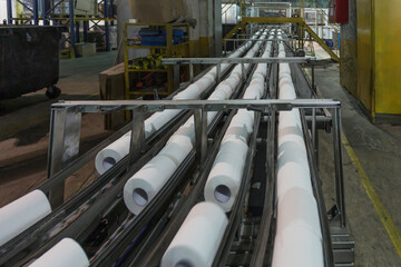 A conveyor belt at a toilet paper factory.