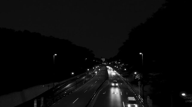 公園の木々に囲まれた静かな夜の道路。
