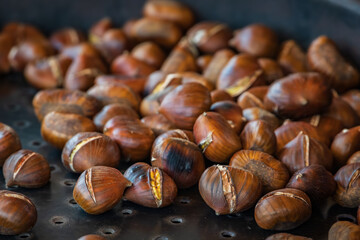 Roasted chestnuts at a Christmas market, holiday experience, Zurich, Switzerland