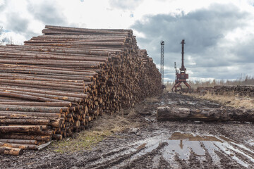 A wood raw material warehouse for paper production.