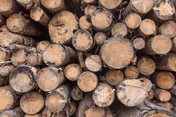 A wood raw material warehouse for paper production.