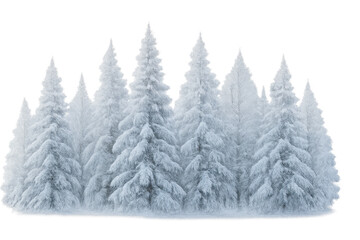 Obraz premium Snow covered pine trees forming a winter forest scene with a cold nature theme and transparent background
