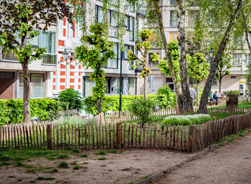 Stadtgarten