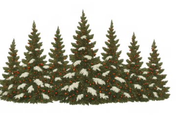 Christmas trees forest with snow and red berries on branches creating a festive holiday winter scene