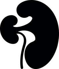 Black Silhouette of Kidney Anatomy with Ureter