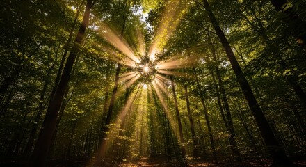 A sunburst filters through a dense forest canopy, illuminating vibrant green leaves while casting long rays of light that create a warm, ethereal atmosphere in a tranquil woodland setting
