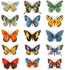 A vibrant collection of colorful butterfly illustrations on a white background.
