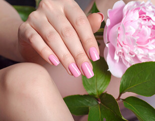 Fototapeta premium Beautiful pink manicure on a woman's hand. Manicure with pink semi-permanent nail polish applied to oval nails