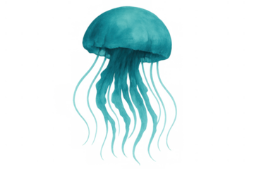 Jellyfish floating in transparent water, marine biology, aquatic sea creature illustration with long tentacles