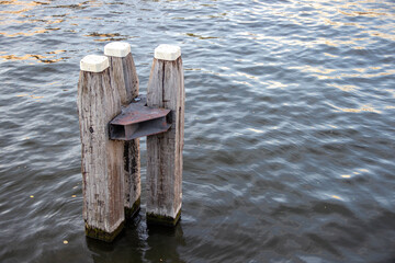 Weathered wooden pilings stand in calm water, reflecting sunlight, showcasing the beauty of nature and the tranquility of a serene waterfront environment