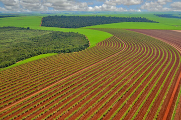 Vista a&eacute;rea de &aacute;reas cultivadas
