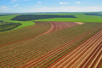 Vista a&eacute;rea de planta&ccedil;&otilde;es