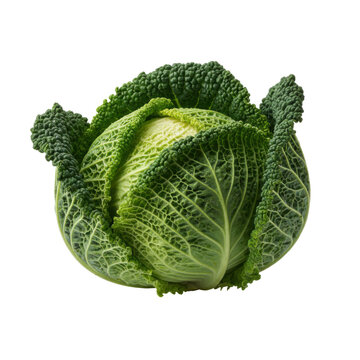 Detailed studio shot of a fresh savoy cabbage head on a black surface