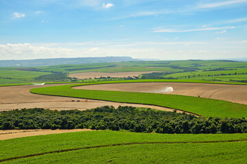 Irrigação em canavial