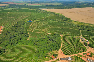 Vista a&eacute;rea de planta&ccedil;&otilde;es