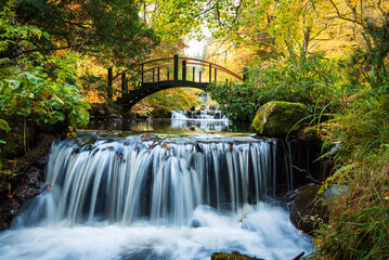 Japanese water garden waterfall