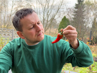 Man examining a red chili pepper in a garden
