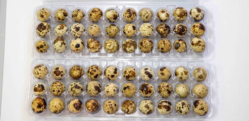 Close-up of numerous speckled quail eggs neatly arranged in plastic trays