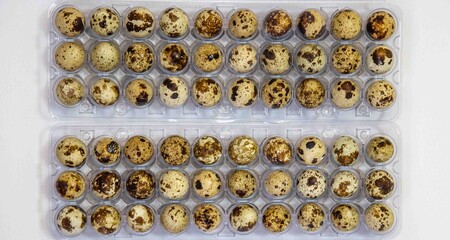 Close-up of numerous speckled quail eggs neatly arranged in plastic trays
