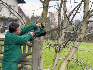 Man trimming tree branches with chainsaw