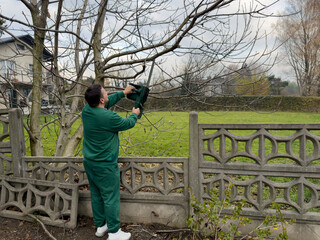 Person trimming tree branches with chainsaw