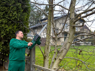 Man pruning a tree with a chainsaw in a residential yard